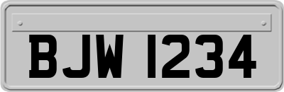 BJW1234