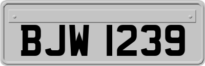 BJW1239