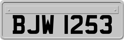 BJW1253