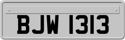 BJW1313