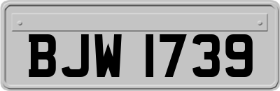 BJW1739