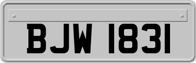 BJW1831