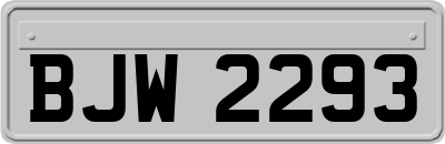 BJW2293