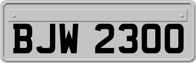 BJW2300