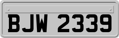 BJW2339