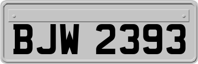BJW2393