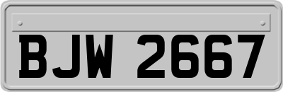 BJW2667