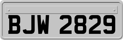 BJW2829