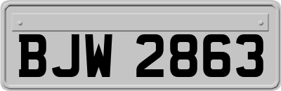BJW2863