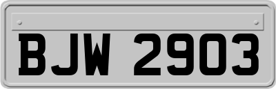 BJW2903