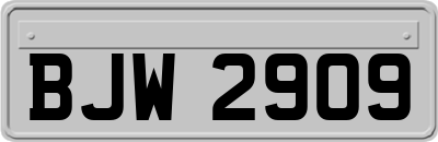 BJW2909