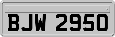BJW2950