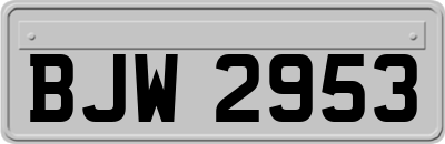 BJW2953