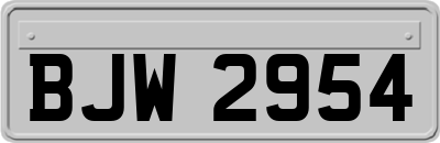 BJW2954