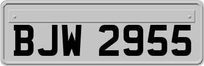 BJW2955