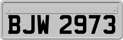 BJW2973