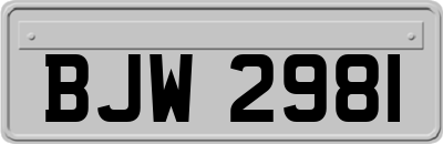 BJW2981
