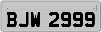 BJW2999