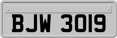BJW3019