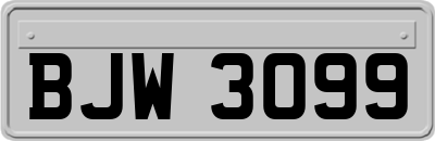 BJW3099