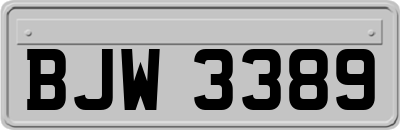 BJW3389