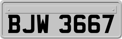 BJW3667