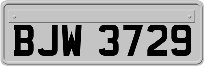 BJW3729