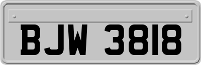 BJW3818