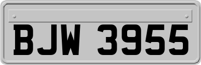BJW3955