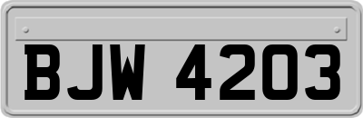 BJW4203