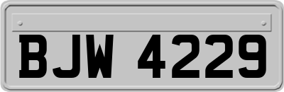 BJW4229