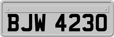 BJW4230