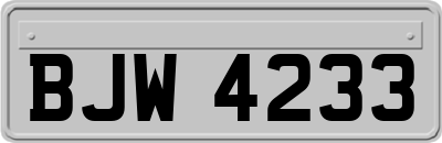BJW4233