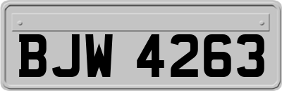 BJW4263