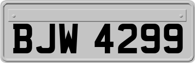 BJW4299