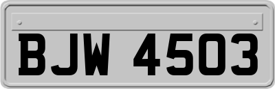 BJW4503