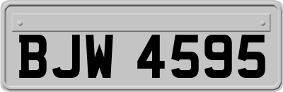 BJW4595