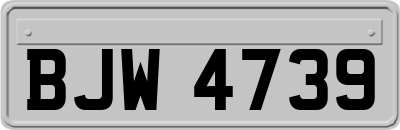 BJW4739