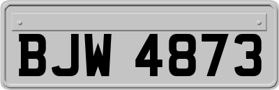 BJW4873