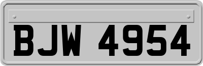 BJW4954