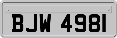BJW4981