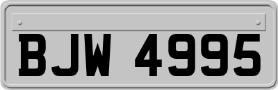 BJW4995