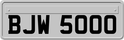 BJW5000