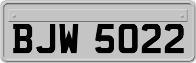 BJW5022