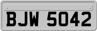BJW5042