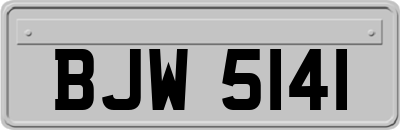 BJW5141