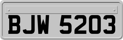 BJW5203
