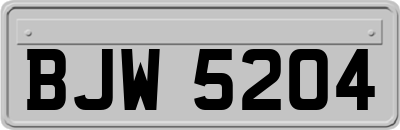 BJW5204