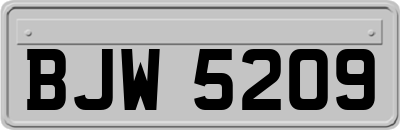 BJW5209