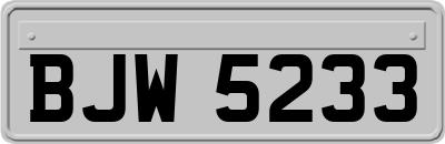 BJW5233